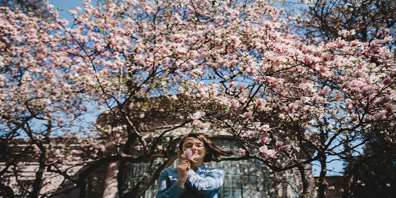 Is Spring Better than Summer for a London City Break?