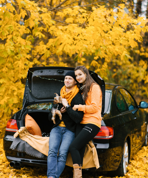 Family-friendly Cab to Heathrow Terminal 2 for Smooth Transfers