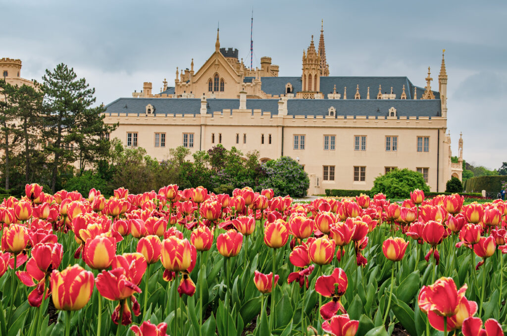 Hampton Court Palace Tulip Festival 2026 Guide