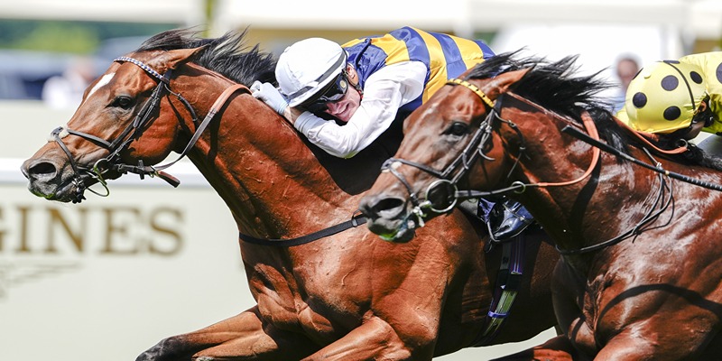 royal ascot 2026