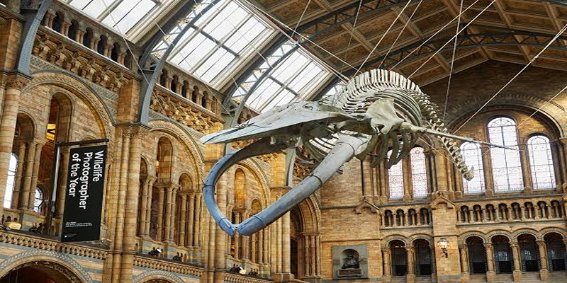 KCL student guide